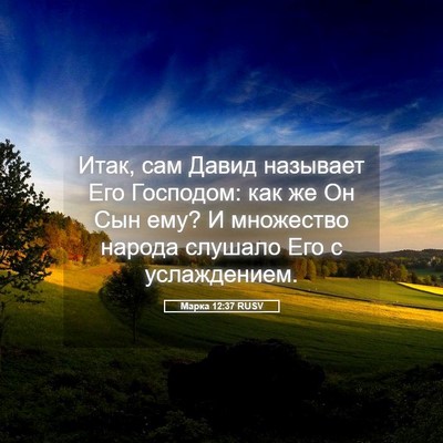 Picture 05 - Марка 12:37 RUSV - Итак, сам Давид называет - Bible Verse Picture