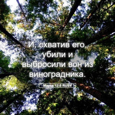 Picture 05 - Марка 12:8 RUSV - И, схватив его, убили и - Bible Verse Picture