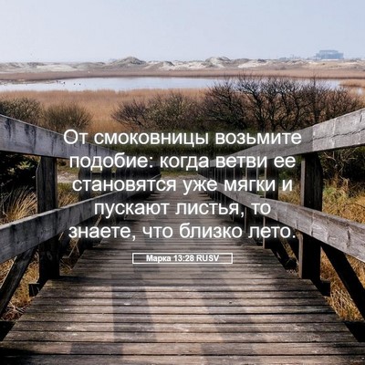 Picture 05 - Марка 13:28 RUSV - От смоковницы возьмите - Bible Verse Picture