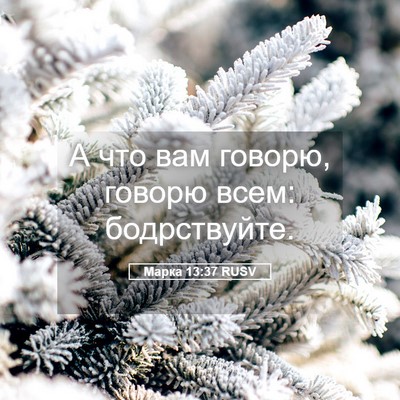 Picture 05 - Марка 13:37 RUSV - А что вам говорю, говорю - Bible Verse Picture