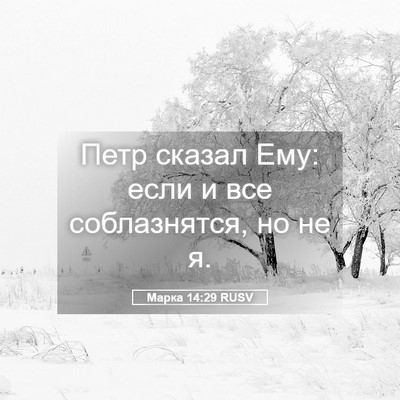 Picture 05 - Марка 14:29 RUSV - Петр сказал Ему: если и все - Bible Verse Picture