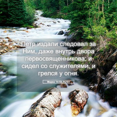 Picture 05 - Марка 14:54 RUSV - Петр издали следовал за - Bible Verse Picture