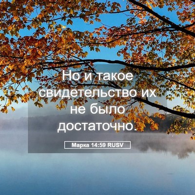 Picture 05 - Марка 14:59 RUSV - Но и такое свидетельство - Bible Verse Picture