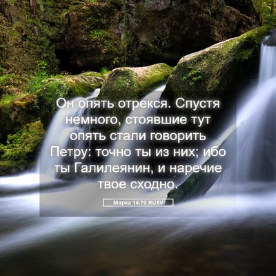 Picture 05 - Марка 14:70 RUSV - Он опять отрекся. Спустя - Bible Verse Picture
