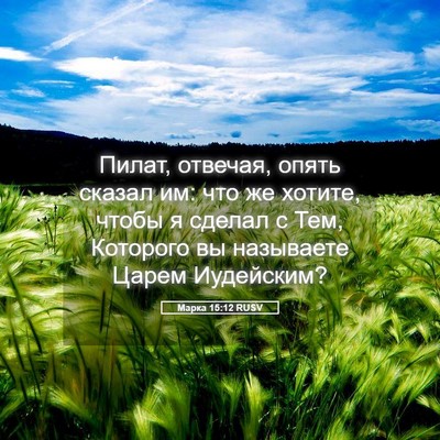 Picture 05 - Марка 15:12 RUSV - Пилат, отвечая, опять - Bible Verse Picture