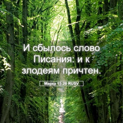 Picture 05 - Марка 15:28 RUSV - И сбылось слово Писания: и - Bible Verse Picture