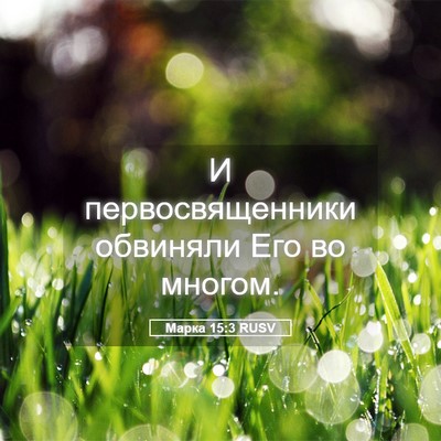 Picture 05 - Марка 15:3 RUSV - И первосвященники - Bible Verse Picture