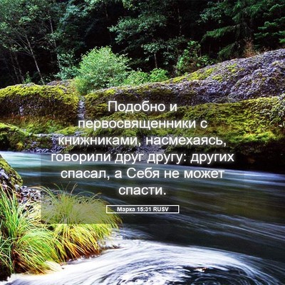 Picture 05 - Марка 15:31 RUSV - Подобно и первосвященники - Bible Verse Picture