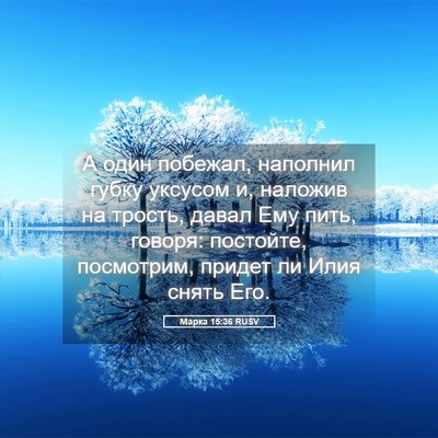 Picture 05 - Марка 15:36 RUSV - А один побежал, наполнил - Bible Verse Picture