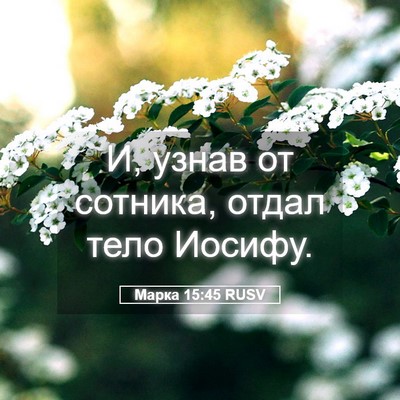 Picture 05 - Марка 15:45 RUSV - И, узнав от сотника, отдал - Bible Verse Picture