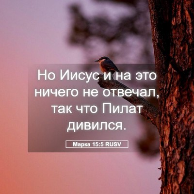 Picture 05 - Марка 15:5 RUSV - Но Иисус и на это ничего не - Bible Verse Picture