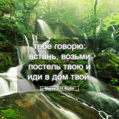 Picture 05 - Марка 2:11 RUSV - тебе говорю: встань, возьми - Bible Verse Picture
