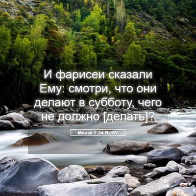 Picture 05 - Марка 2:24 RUSV - И фарисеи сказали Ему: - Bible Verse Picture