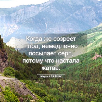 Picture 05 - Марка 4:29 RUSV - Когда же созреет плод, - Bible Verse Picture