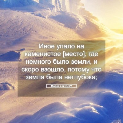 Picture 05 - Марка 4:5 RUSV - Иное упало на каменистое - Bible Verse Picture