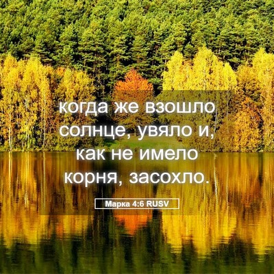 Picture 05 - Марка 4:6 RUSV - когда же взошло солнце, - Bible Verse Picture