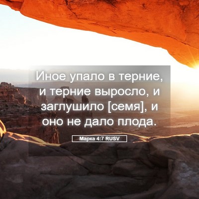 Picture 05 - Марка 4:7 RUSV - Иное упало в терние, и - Bible Verse Picture