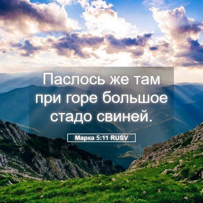 Picture 05 - Марка 5:11 RUSV - Паслось же там при горе - Bible Verse Picture
