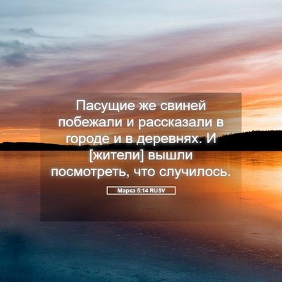 Picture 05 - Марка 5:14 RUSV - Пасущие же свиней побежали - Bible Verse Picture