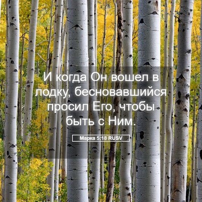 Picture 05 - Марка 5:18 RUSV - И когда Он вошел в лодку, - Bible Verse Picture