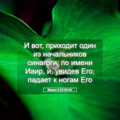 Picture 05 - Марка 5:22 RUSV - И вот, приходит один из - Bible Verse Picture