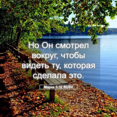 Picture 05 - Марка 5:32 RUSV - Но Он смотрел вокруг, чтобы - Bible Verse Picture