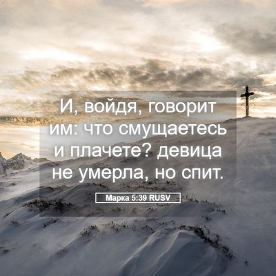Picture 05 - Марка 5:39 RUSV - И, войдя, говорит им: что - Bible Verse Picture