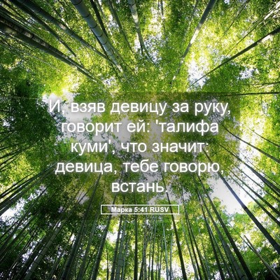 Picture 05 - Марка 5:41 RUSV - И, взяв девицу за руку, - Bible Verse Picture