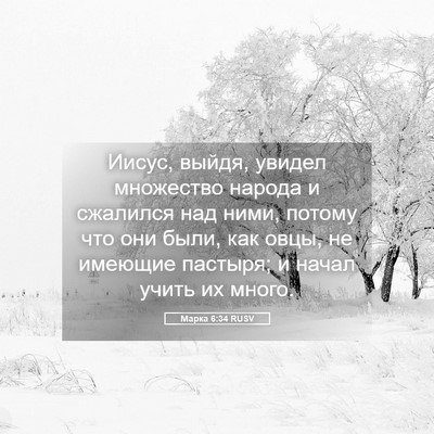 Picture 05 - Марка 6:34 RUSV - Иисус, выйдя, увидел - Bible Verse Picture