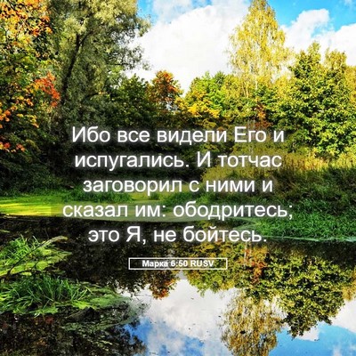 Picture 05 - Марка 6:50 RUSV - Ибо все видели Его и - Bible Verse Picture