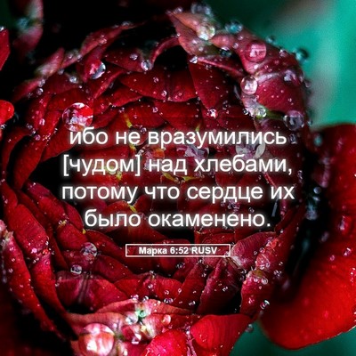 Picture 05 - Марка 6:52 RUSV - ибо не вразумились [чудом] - Bible Verse Picture