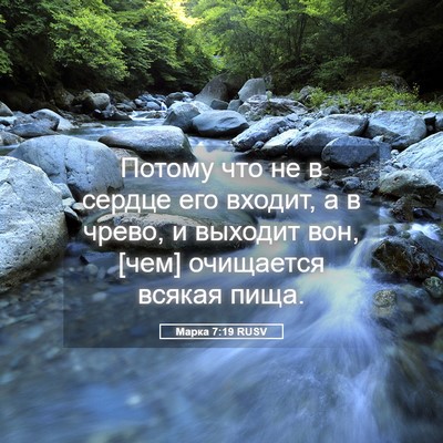 Picture 05 - Марка 7:19 RUSV - Потому что не в сердце его - Bible Verse Picture