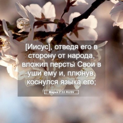Picture 05 - Марка 7:33 RUSV - [Иисус], отведя его в - Bible Verse Picture