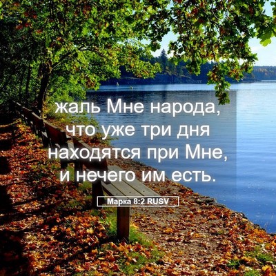 Picture 05 - Марка 8:2 RUSV - жаль Мне народа, что уже - Bible Verse Picture