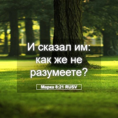 Picture 05 - Марка 8:21 RUSV - И сказал им: как же не - Bible Verse Picture