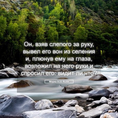 Picture 05 - Марка 8:23 RUSV - Он, взяв слепого за руку, - Bible Verse Picture