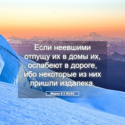 Picture 05 - Марка 8:3 RUSV - Если неевшими отпущу их в - Bible Verse Picture
