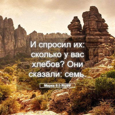 Picture 05 - Марка 8:5 RUSV - И спросил их: сколько у вас - Bible Verse Picture