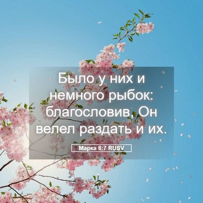Picture 05 - Марка 8:7 RUSV - Было у них и немного рыбок: - Bible Verse Picture