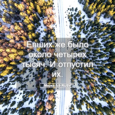 Picture 05 - Марка 8:9 RUSV - Евших же было около - Bible Verse Picture