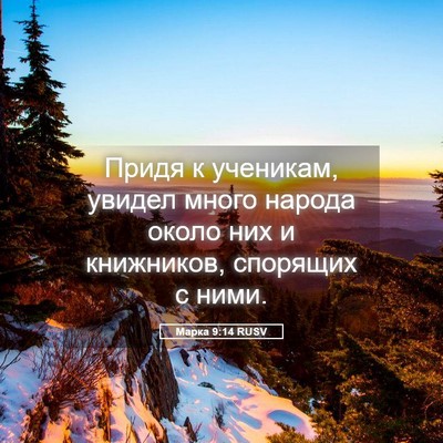 Picture 05 - Марка 9:14 RUSV - Придя к ученикам, увидел - Bible Verse Picture