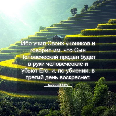 Picture 05 - Марка 9:31 RUSV - Ибо учил Своих учеников и - Bible Verse Picture