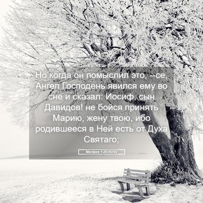 Picture 05 - Матфея 1:20 RUSV - Но когда он помыслил это, - Bible Verse Picture