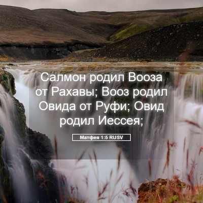 Picture 05 - Матфея 1:5 RUSV - Салмон родил Вооза от - Bible Verse Picture