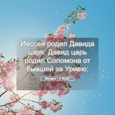 Picture 05 - Матфея 1:6 RUSV - Иессей родил Давида царя; - Bible Verse Picture