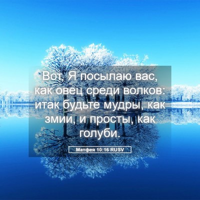 Picture 05 - Матфея 10:16 RUSV - Вот, Я посылаю вас, как овец - Bible Verse Picture