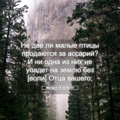 Picture 05 - Матфея 10:29 RUSV - Не две ли малые птицы - Bible Verse Picture