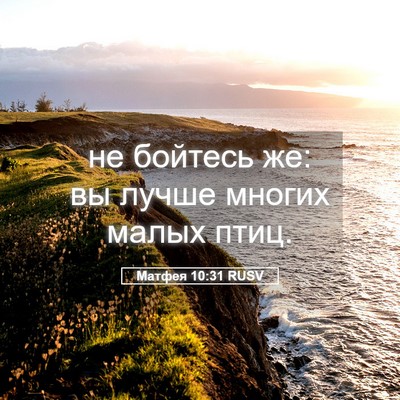Picture 05 - Матфея 10:31 RUSV - не бойтесь же: вы лучше - Bible Verse Picture