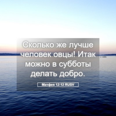 Picture 05 - Матфея 12:12 RUSV - Сколько же лучше человек - Bible Verse Picture