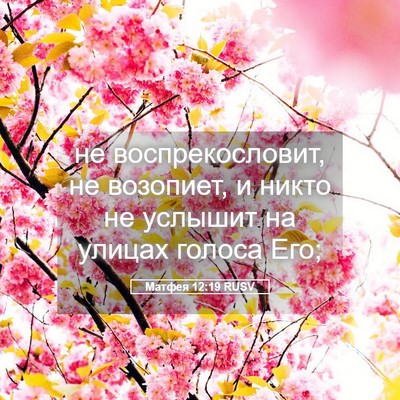 Picture 05 - Матфея 12:19 RUSV - не воспрекословит, не - Bible Verse Picture